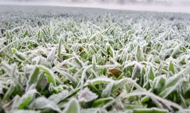 ⚠️ Frio congelante: Bom Jardim da Serra registra -5,6°C e SC tem marcas negativas em várias cidades