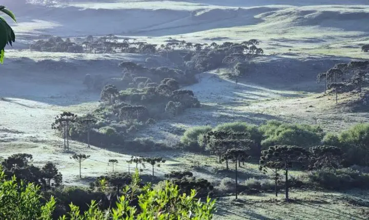 ❄️ Frio intenso marca amanhecer em Santa Catarina; Bom Jardim da Serra registra -4,2°C