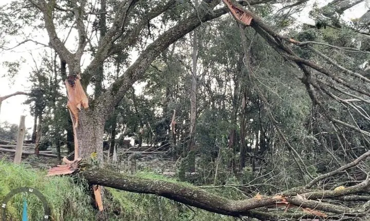 Granizo e vendavais causam estragos em municípios de SC; Braço do Norte e Litoral Sul estão em alerta para chuva superior a 160 mm