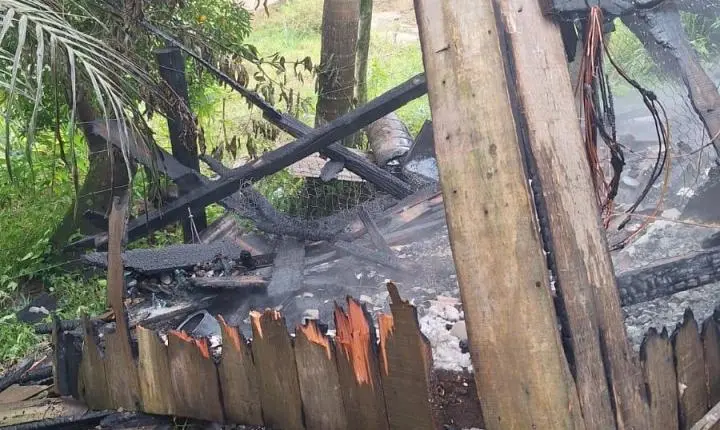🐔 Incêndio destrói galinheiro e atinge residência às margens da SC-108 em Rio Fortuna