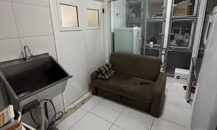 ⚖️ Justiça determina urgência em serviços do Centro de Bem-Estar Animal de São Francisco do Sul