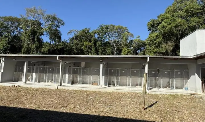⚖️ Justiça determina urgência em serviços do Centro de Bem-Estar Animal de São Francisco do Sul