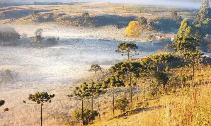 Madrugada registra até -9,1°C na Serra e frio mantém geada ampla e mar agitado em Santa Catarina