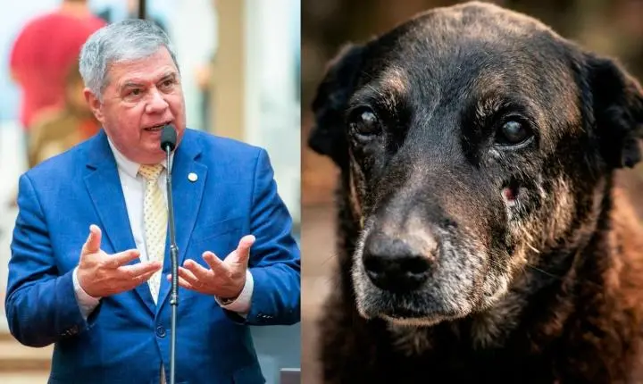 🐾 Mário Motta protocolada CPI para investigar morte do cão Orelha
