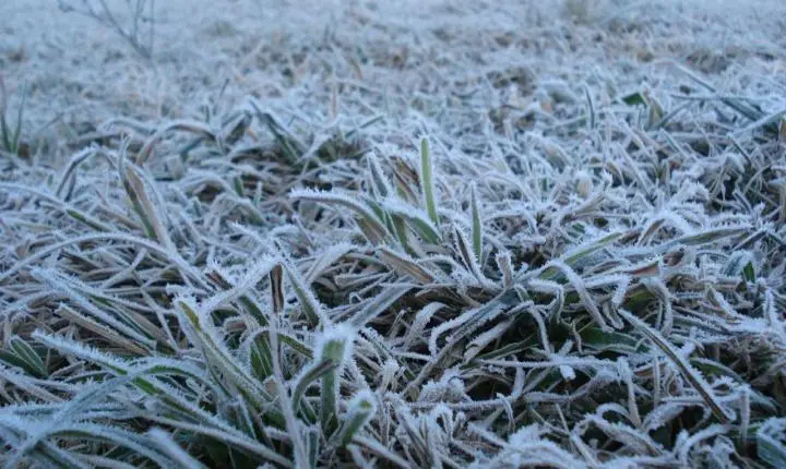 🥶 Massa de ar frio avança e traz geada ampla com temperaturas negativas para Santa Catarina