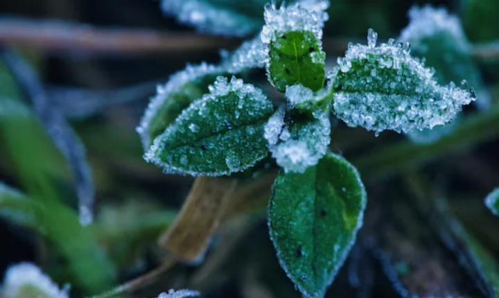 🌤️ Massa de ar frio traz geada e alerta de ressaca para Santa Catarina