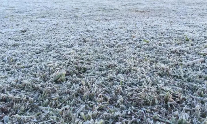 📢 Massa de ar polar ganha força em SC: Defesa Civil alerta para marcas negativas e geada ampla nesta quinta