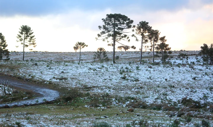 ❄️ Massa de ar polar derruba temperaturas e Santa Catarina registra marcas de até -8,5°C na Serra