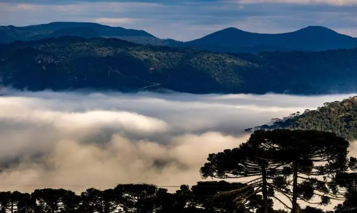 ❄️ Massa de ar polar traz geada e temperaturas negativas para Santa Catarina