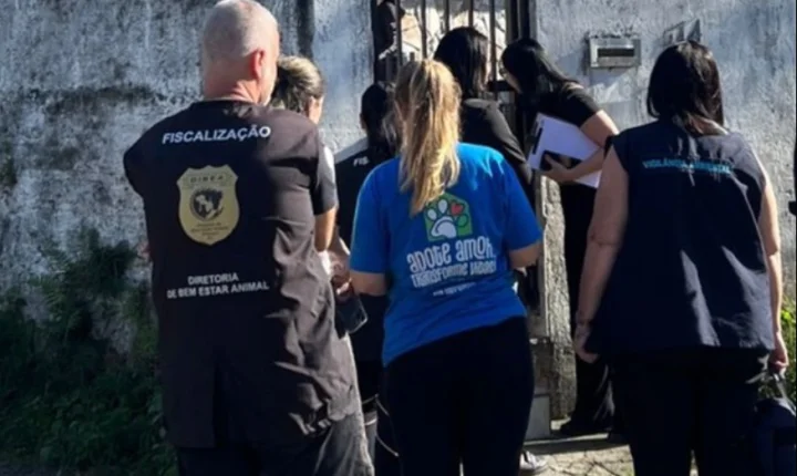 🐶 Operação resgata 32 cães em situação de maus-tratos