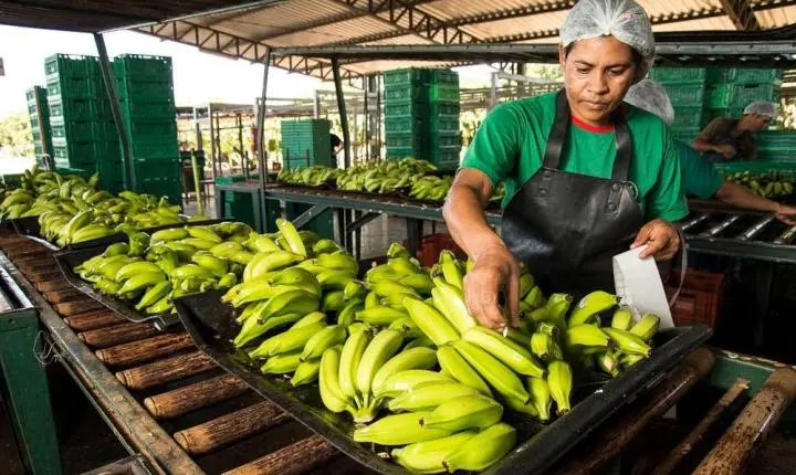 Pequenos negócios correspondem a 88% das empresas e geram metade dos novos empregos em Santa Catarina