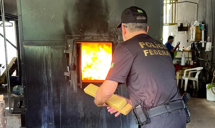 🚔 Polícia Federal incinera seis toneladas de maconha em SC