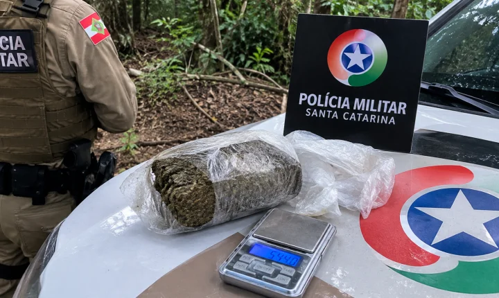 POLÍCIA MILITAR APREENDE MAIS DE MEIO QUILO DE MACONHA EM ÁREA DE MATA EM TUBARÃO