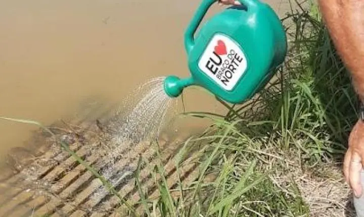 Prefeitura de Braço do Norte intensifica combate ao borrachudo e recebe novas doses de larvicida do Estado