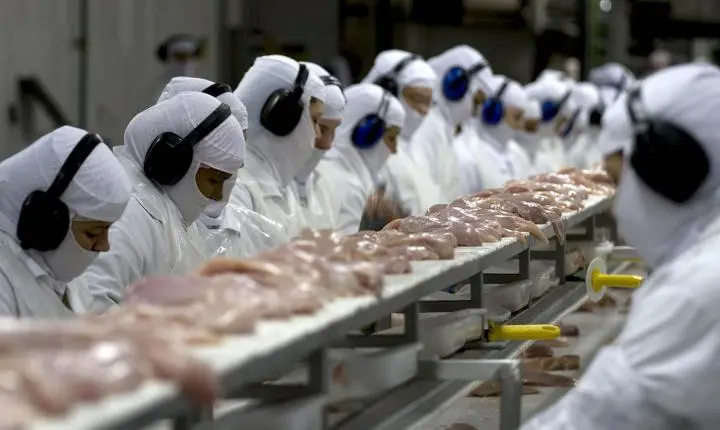 🍽️ Produção de alimentos em SC cresce 5,9% e supera média nacional