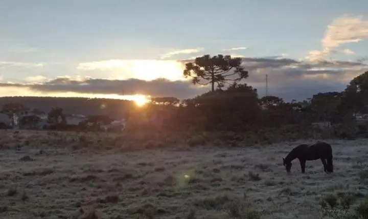 📉 Santa Catarina registra as menores temperaturas do ano com marcas negativas na Serra