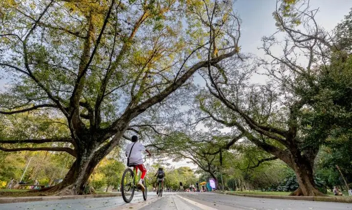 Santa Catarina sanciona pacote de novas leis com foco em economia, saúde e turismo
