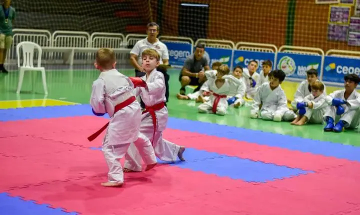 🏅 São Ludgero sedia 24ª Copa Best of the Best de Karatê com foco em inclusão