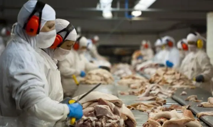 🥩 SC bate recorde histórico na exportação de carnes no trimestre