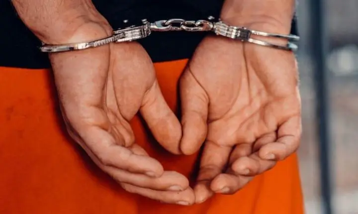 🚨 Senado aprova criação de cadastro nacional de condenados por violência contra a mulher