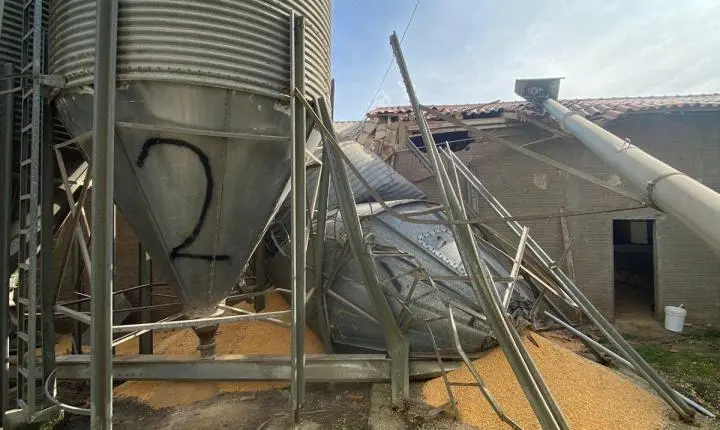 🌾 Silo graneleiro desaba em indústria e deixa trabalhador ferido em São Ludgero